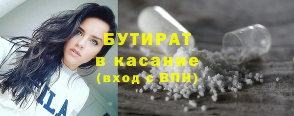 индика Гусиноозёрск