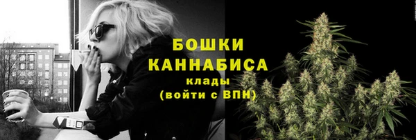 индика Гусиноозёрск