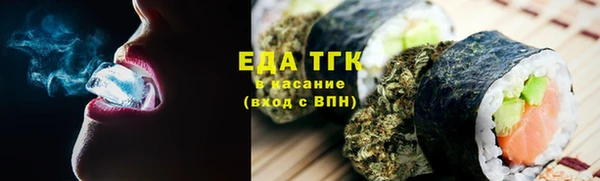 индика Гусиноозёрск