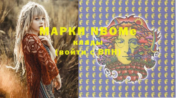 индика Гусиноозёрск