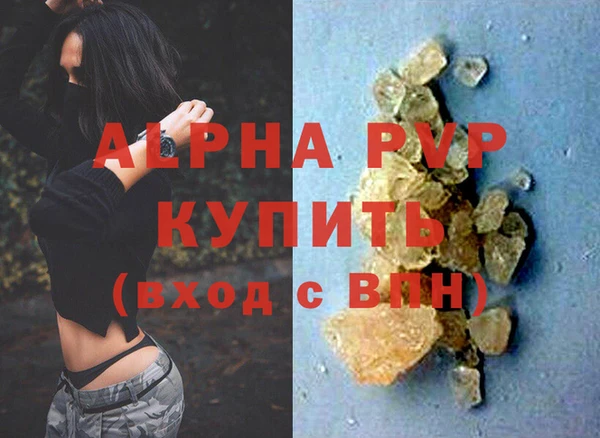 индика Гусиноозёрск