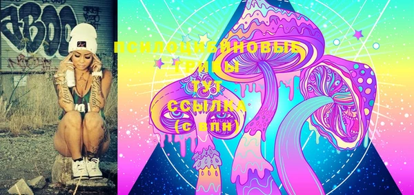 2c-b Гусь-Хрустальный