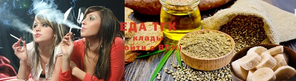 индика Гусиноозёрск