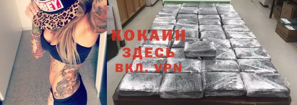 МДПВ Гусев