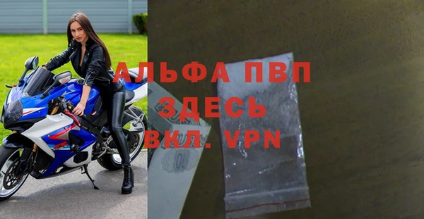 индика Гусиноозёрск
