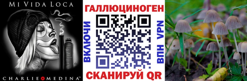 Псилоцибиновые грибы Cubensis  Купить  Зеленогорск 